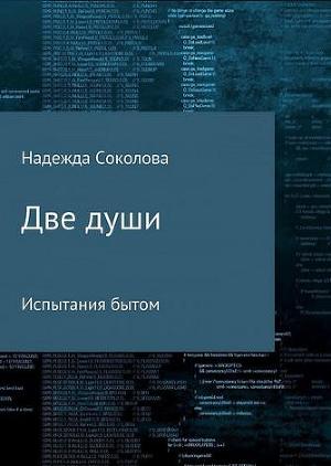 Испытания бытом (СИ)