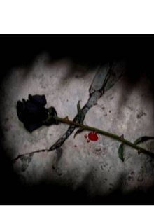 Испытав все