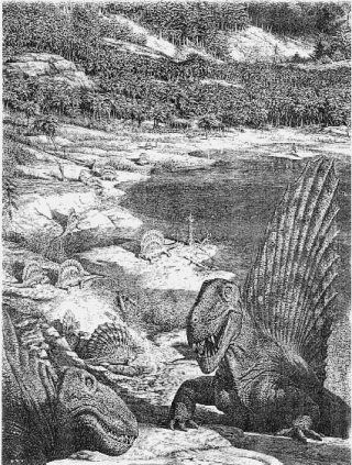 История земли и жизни на ней [Другое издание]