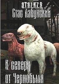 К северу от Чернобыля