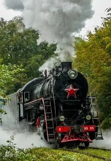 Карантины, Карантины...