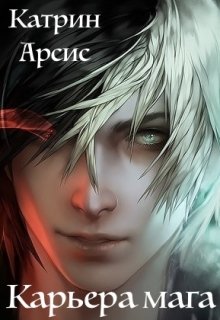 Карьера мага