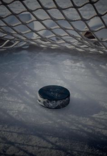 Каток у дома