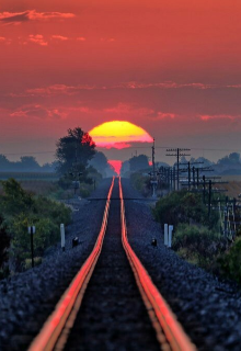 Книга о том как девочка по имени Дао, оказалась в коме и попала совершенно в другой мир. Получится ли у неё выжить, смотри и... Кома