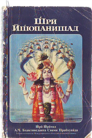 Комментарии к книге Щри Ищопанишад (СИ)