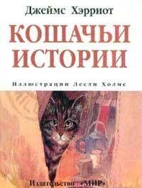 Кошачьи истории