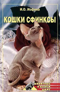 Кошки  - сфинксы