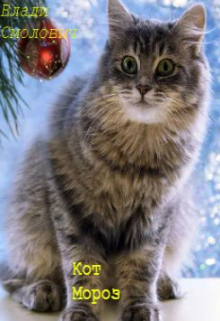 Кот Мороз