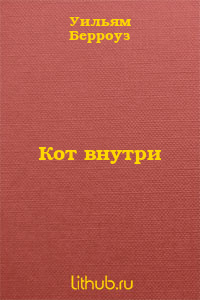 Кот внутри