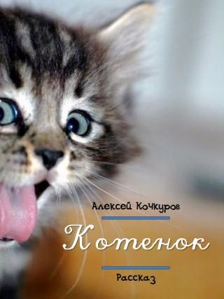 Котенок