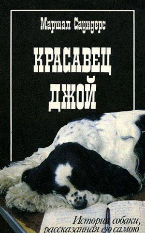 Красавец Джой