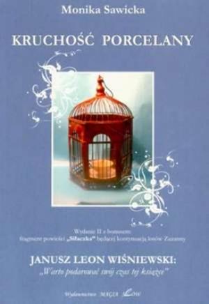Kruchość Porcelany
