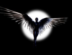 КРЫЛЬЯ ЧЁРНЫЕ