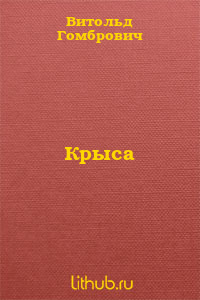 Крыса