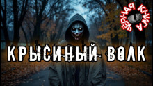 Крысиный волк