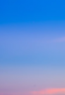 Куда ты идёшь?