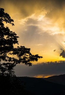 Лехинский царь