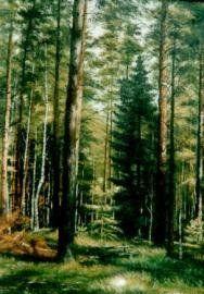 Лес – кормилец