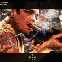 Лис пустыни