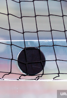 Лисицын, берегись!