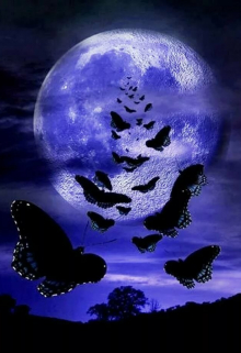 Лунные бабочки