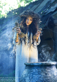 Лунные ночи