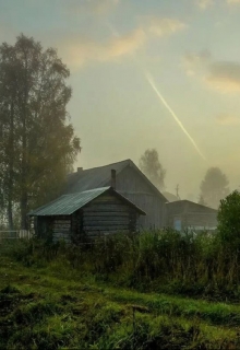 Львиная доля