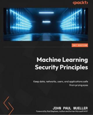 Machine Learning Security Principles