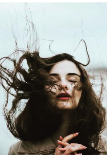 Маковое поле