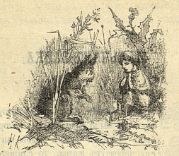 Мальчик-зайчик