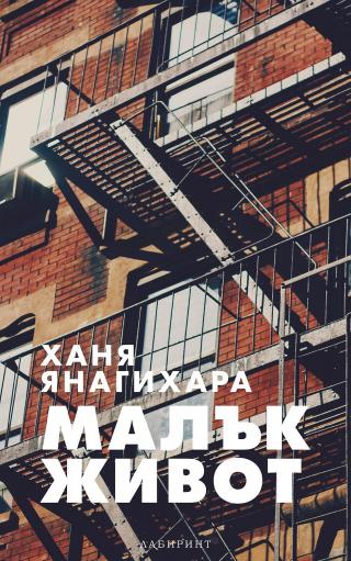 Малък живот