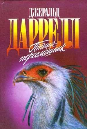 Мама на выданье