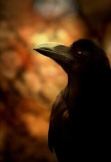 Меланхолия