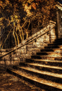 Милосердие