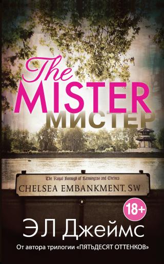 Мистер [litres]