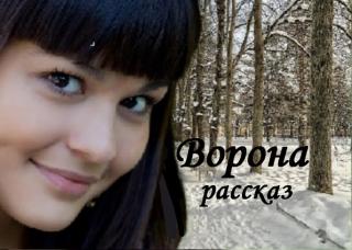 Молодая ворона