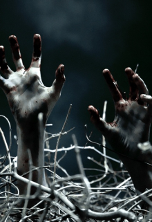 Моровушечка