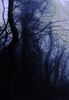 Ночь темна, и порой там, в ночи, во тьме, скрывается нечто во что опасно... Мотылёк