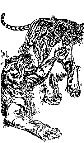 Мясной рулет. Встречи с животными [Иллюстрации Ральфа Томпсона]