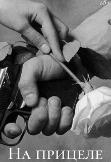 На прицеле