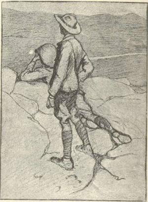 Наземные броненосцы