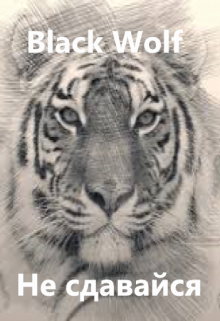 Не сдавайся