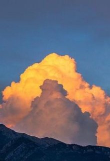 Нет, да, нет, нет, да, да, нет