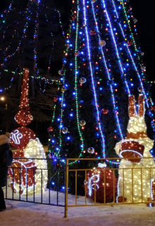 Новогоднее