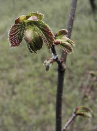 Очерствели?