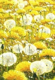 Одуванчики