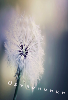 Одуванчики