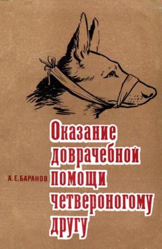 Оказание доврачебной помощи четвероногому другу