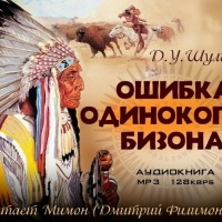 Ошибка Одинокого Бизона