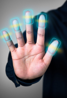 Отпечатков не найдено